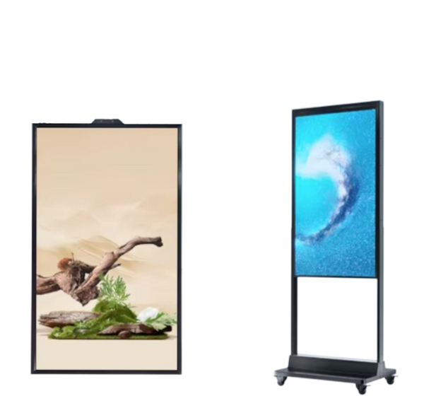 Pantalla 55 pulgadas 800 nits